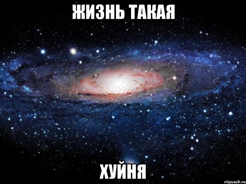 жизнь такая хуйня, Мем Вселенная