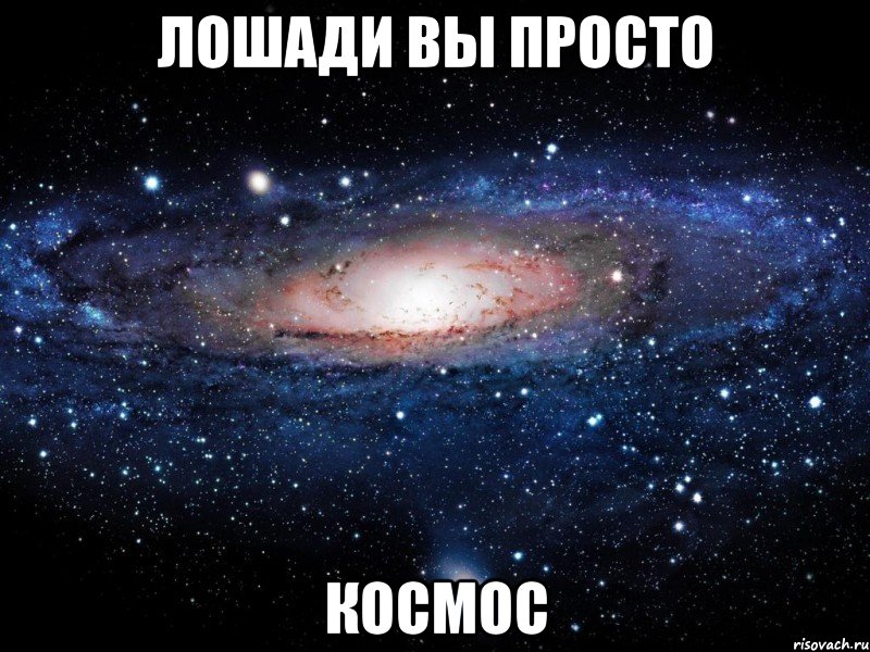 лошади вы просто космос, Мем Вселенная