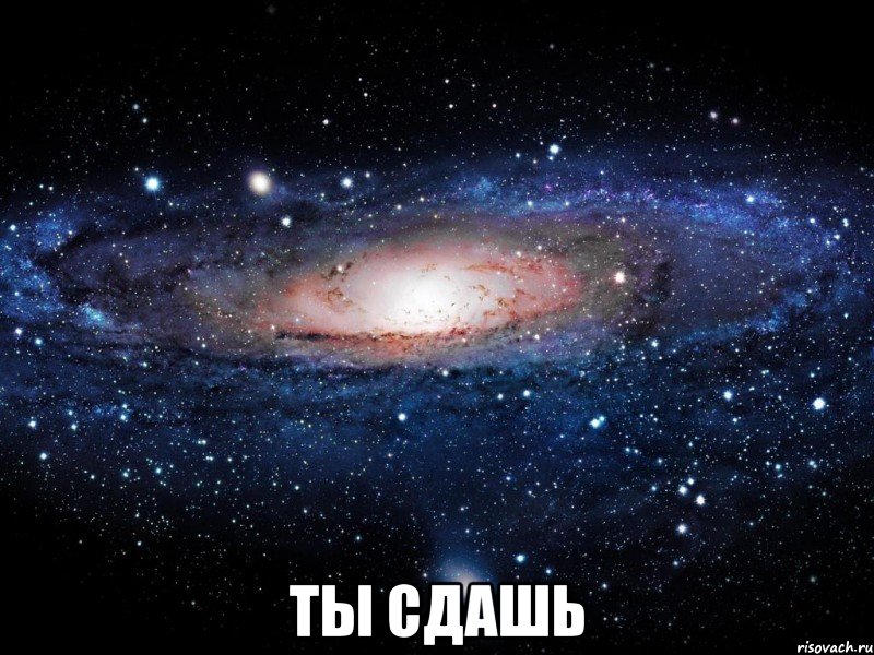  ты сдашь, Мем Вселенная