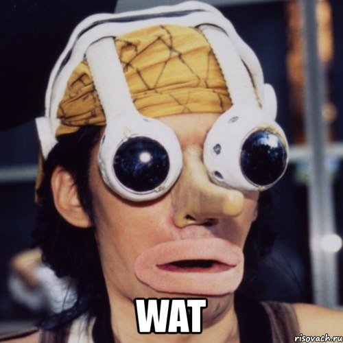  wat, Мем wat