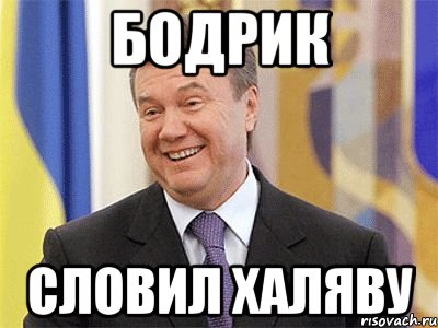 бодрик словил халяву, Мем Янукович
