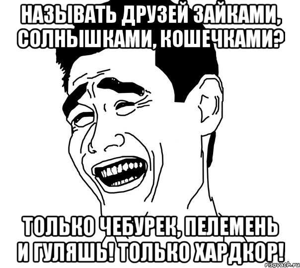 называть друзей зайками, солнышками, кошечками? только чебурек, пелемень и гуляшь! только хардкор!, Мем Яо минг