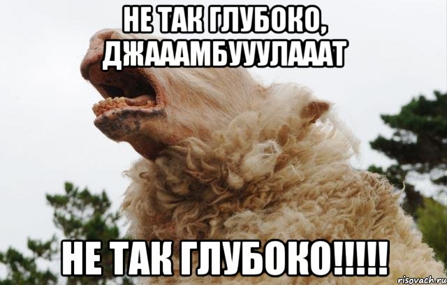 не так глубоко, джааамбууулааат не так глубоко!!!, Мем ЫЫЫЫЫЫ