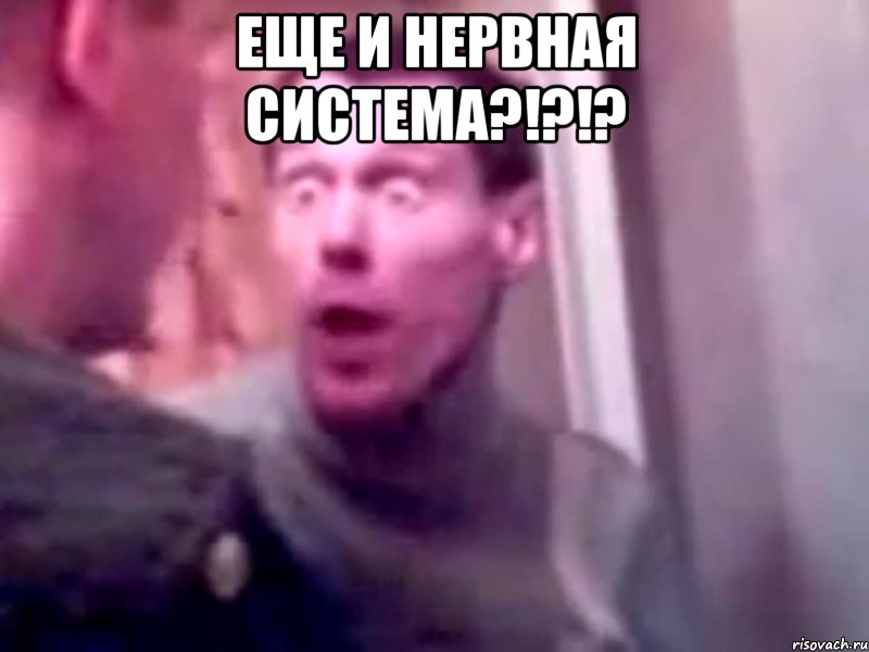 еще и нервная система?!?!? , Мем Запили