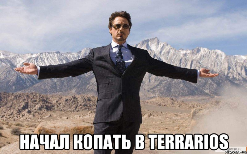  начал копать в terrarios, Мем железный человек