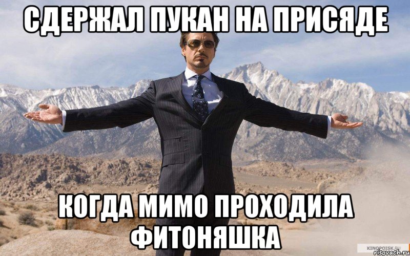 сдержал пукан на присяде когда мимо проходила фитоняшка, Мем железный человек