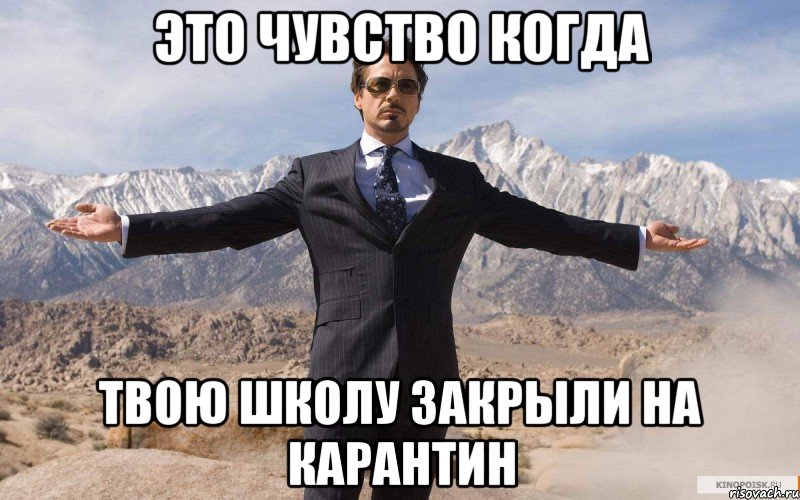 это чувство когда твою школу закрыли на карантин, Мем железный человек