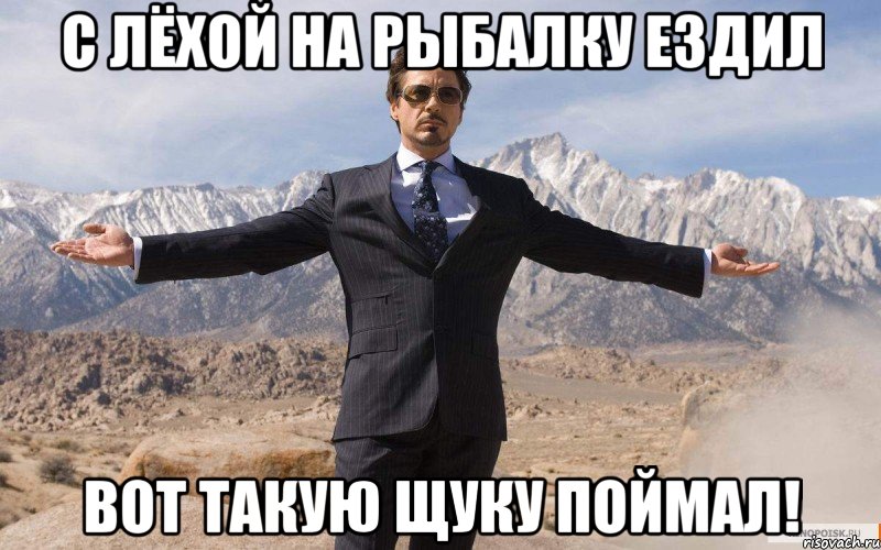 с лёхой на рыбалку ездил вот такую щуку поймал!, Мем железный человек