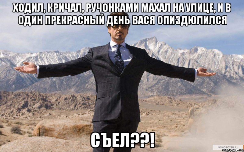 ходил, кричал, ручонками махал на улице, и в один прекрасный день вася опиздюлился съел??!, Мем железный человек