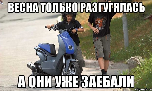 весна только разгугялась а они уже заебали, Мем Жигулевск