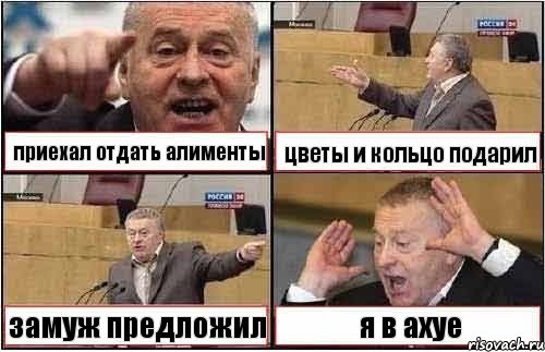 приехал отдать алименты цветы и кольцо подарил замуж предложил я в ахуе, Комикс жиреновский