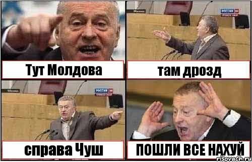 Тут Молдова там дрозд справа Чуш ПОШЛИ ВСЕ НАХУЙ, Комикс жиреновский