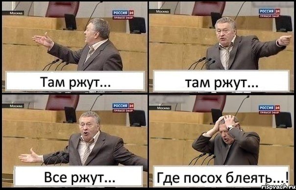 Там ржут... там ржут... Все ржут... Где посох блеять...!, Комикс Жирик в шоке хватается за голову