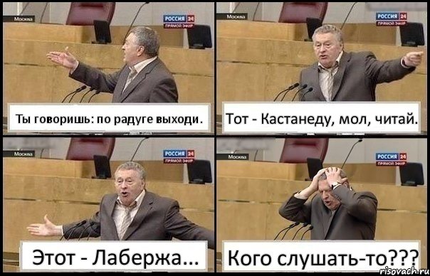 Ты говоришь: по радуге выходи. Тот - Кастанеду, мол, читай. Этот - Лабержа... Кого слушать-то???, Комикс Жирик в шоке хватается за голову