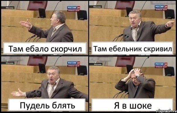 Там ебало скорчил Там ебельник скривил Пудель блять Я в шоке, Комикс Жирик в шоке хватается за голову