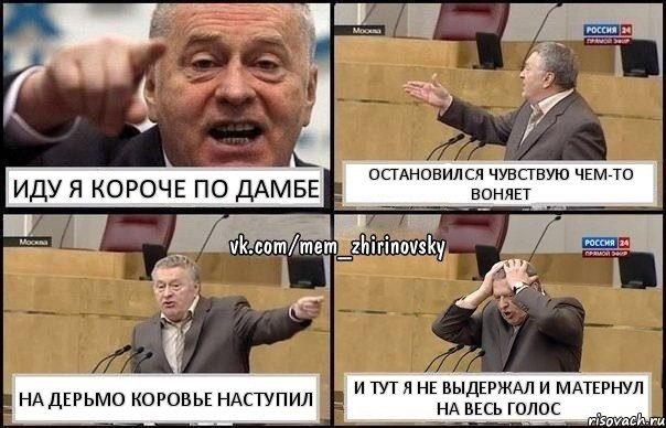 Иду я короче по дамбе Остановился чувствую чем-то воняет На дерьмо коровье наступил и тут я не выдержал и матернул на весь голос, Комикс Жирик