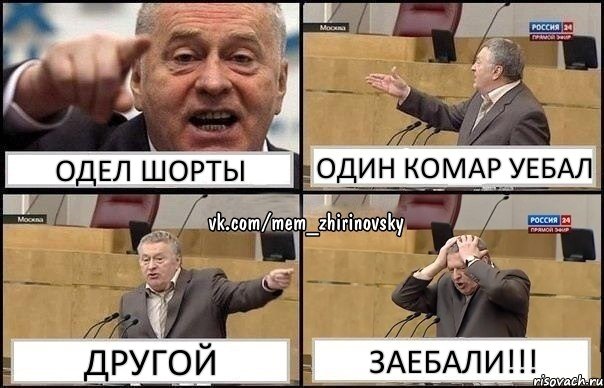 одел шорты один комар уебал другой заебали!!!, Комикс Жирик