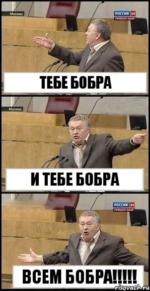 Тебе бобра и тебе бобра ВСЕМ БОБРА!!!, Комикс Жириновский разводит руками 3