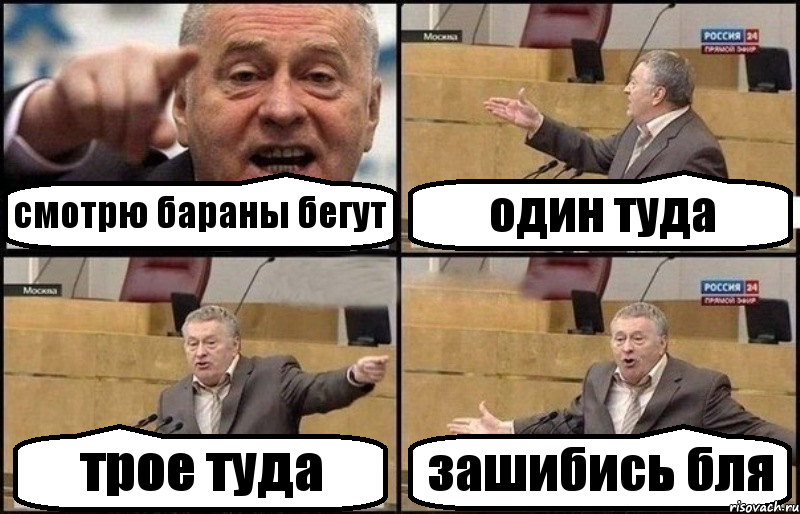 смотрю бараны бегут один туда трое туда зашибись бля, Комикс Жириновский