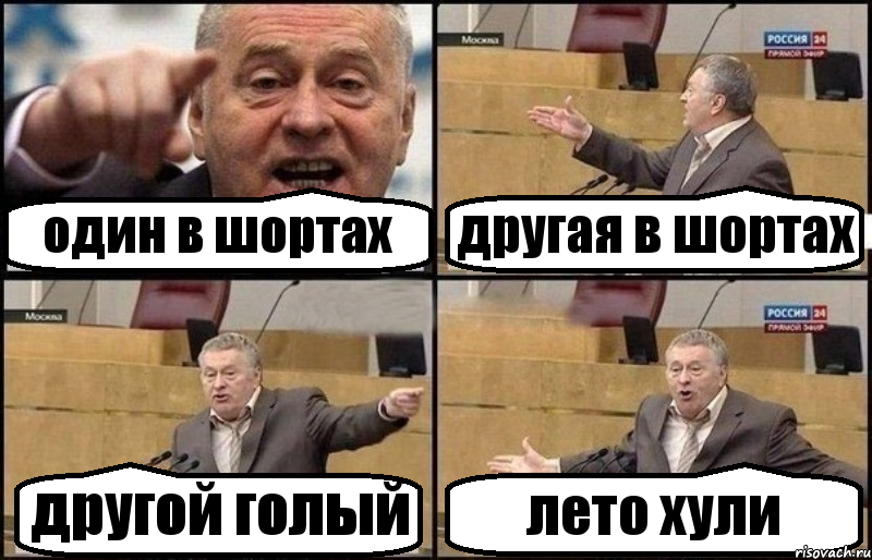 один в шортах другая в шортах другой голый лето хули, Комикс Жириновский