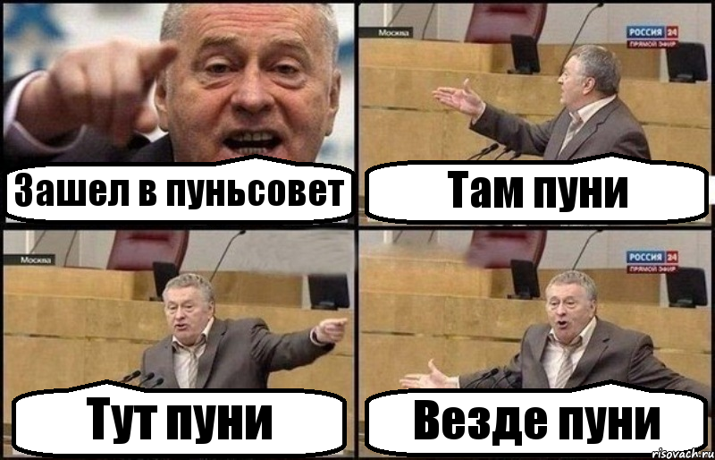 Зашел в пуньсовет Там пуни Тут пуни Везде пуни, Комикс Жириновский