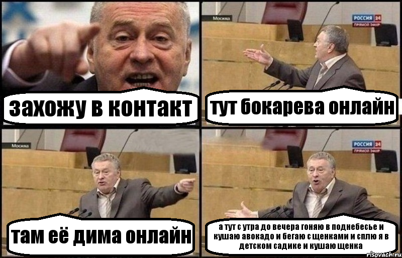 захожу в контакт тут бокарева онлайн там её дима онлайн а тут с утра до вечера гоняю в поднебесье и кушаю авокадо и бегаю с щенками и сплю я в детском садике и кушаю щенка, Комикс Жириновский