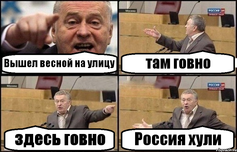 Вышел весной на улицу там говно здесь говно Россия хули, Комикс Жириновский