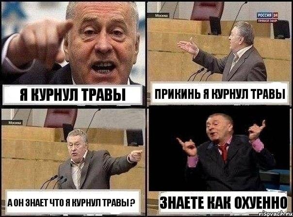 я курнул травы прикинь я курнул травы а он знает что я курнул травы ? знаете как охуенно, Комикс Жириновский клоуничает