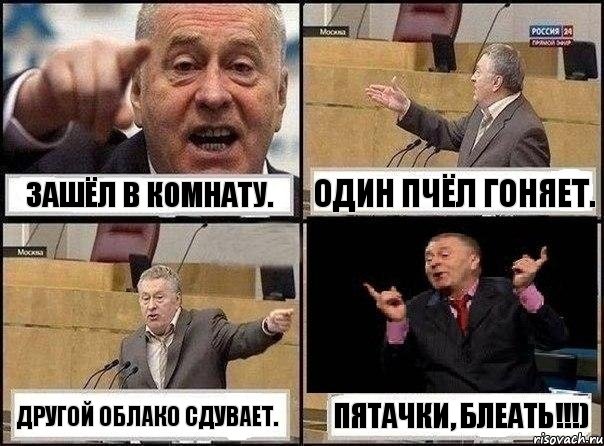 Зашёл в комнату. Один пчёл гоняет. Другой облако сдувает. Пятачки, блеать!!!), Комикс Жириновский клоуничает