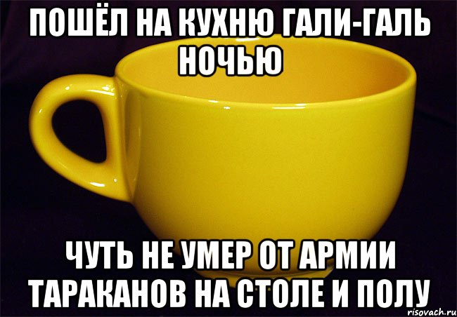 пошёл на кухню гали-галь ночью чуть не умер от армии тараканов на столе и полу