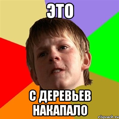 это с деревьев накапало