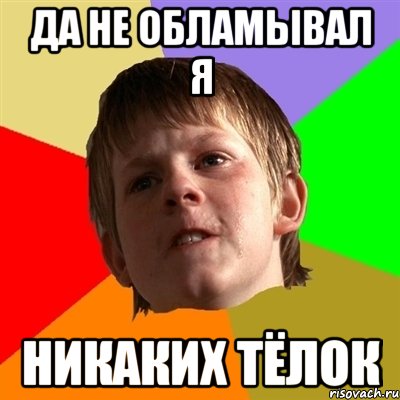 да не обламывал я никаких тёлок
