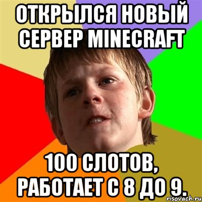 открылся новый сервер minecraft 100 слотов, работает с 8 до 9.