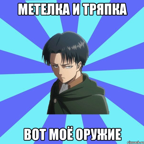 метелка и тряпка вот моё оружие