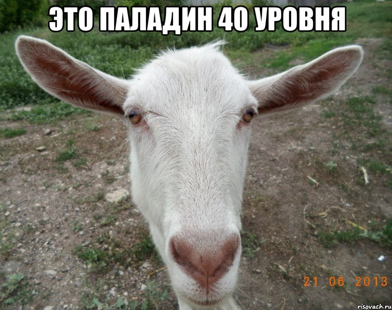 это паладин 40 уровня , Мем 123123
