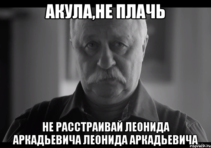 акула,не плачь не расстраивай леонида аркадьевича леонида аркадьевича, Мем Не огорчай Леонида Аркадьевича