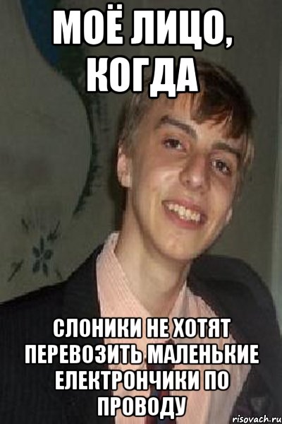 моё лицо, когда слоники не хотят перевозить маленькие електрончики по проводу, Мем 1
