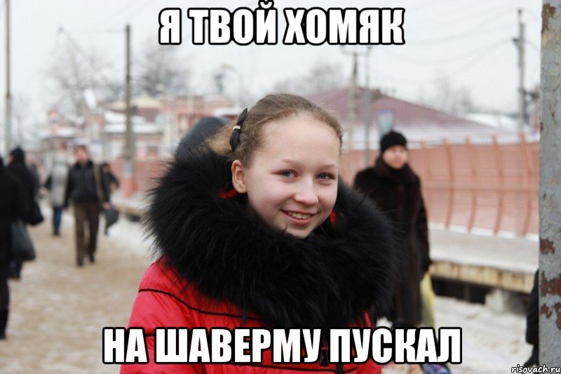 я твой хомяк на шаверму пускал, Мем 1