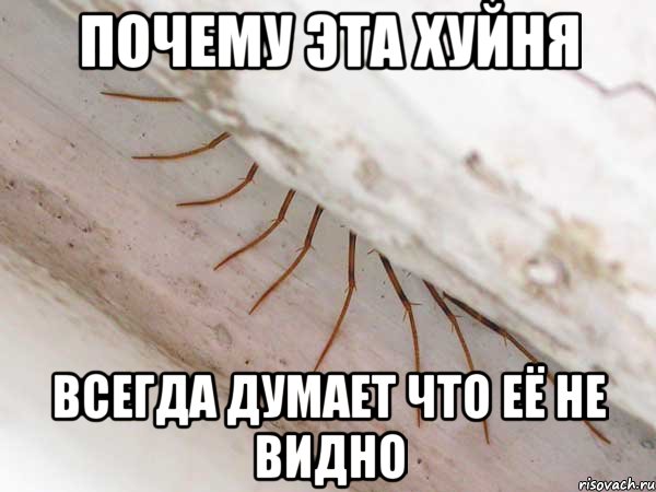почему эта хуйня всегда думает что её не видно, Мем 2