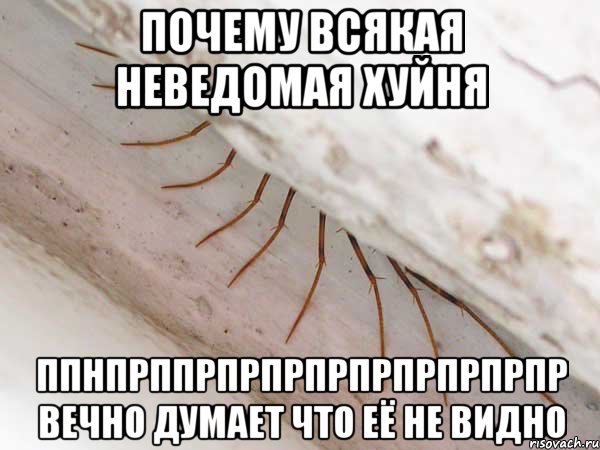 почему всякая неведомая хуйня ппнпрппрпрпрпрпрпрпрпрпр вечно думает что её не видно, Мем 2