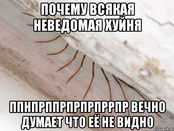 почему всякая неведомая хуйня ппнпрппрпрпрпррпр вечно думает что её не видно, Мем 2