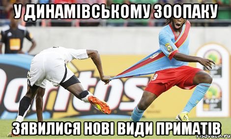 у динамівському зоопаку зявилися нові види приматів, Мем 2