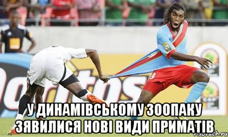  у динамівському зоопаку зявилися нові види приматів, Мем 2