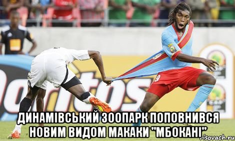  динамівський зоопарк поповнився новим видом макаки "мбокані", Мем 2