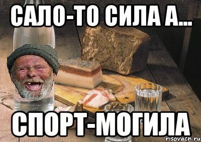 сало-то сила а... спорт-могила, Мем 34534е