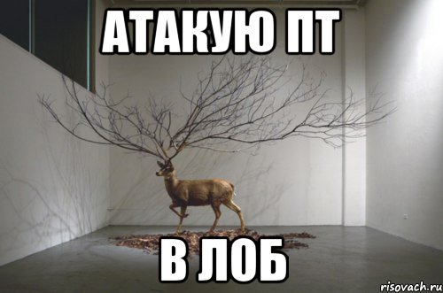 атакую пт в лоб, Мем 9999