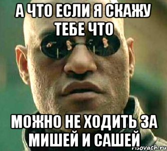 а что если я скажу тебе что можно не ходить за мишей и сашей, Мем  а что если я скажу тебе