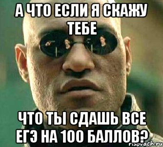 а что если я скажу тебе что ты сдашь все егэ на 100 баллов?, Мем  а что если я скажу тебе