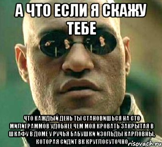 а что если я скажу тебе что каждый день ты становишься на сто милиграммов удобнее чем моя кровать закрытая в шкафу в доме у ручья бабушки изольды карловны, которая сидит вк круглосуточно, Мем  а что если я скажу тебе