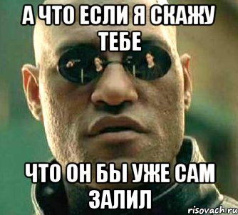 а что если я скажу тебе что он бы уже сам залил, Мем  а что если я скажу тебе